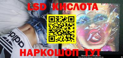 дживик Будённовск