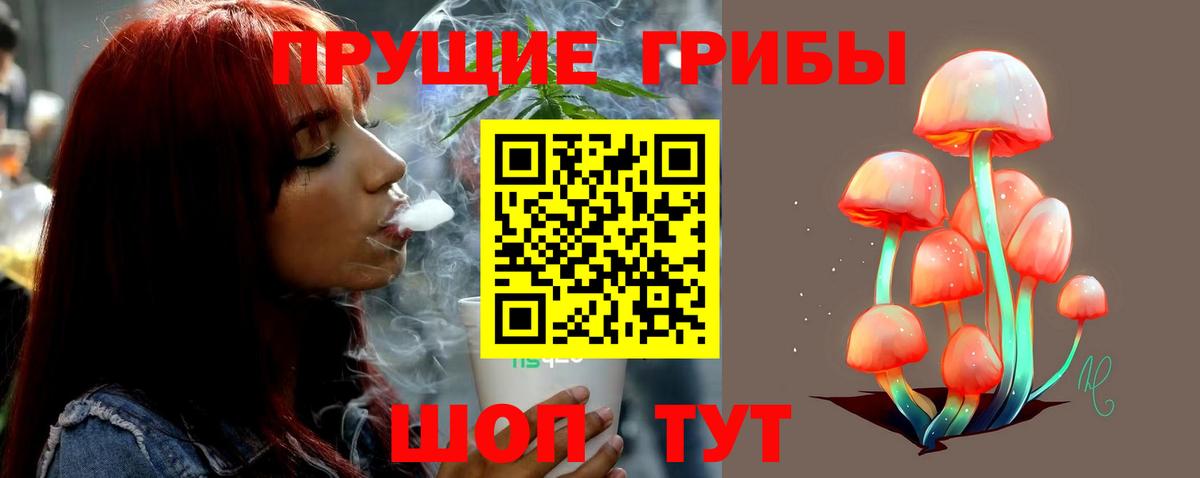Курган  Псилоцибиновые грибы мухоморы  Вход с VPN  Галлюциногенные грибы Magic Shrooms 